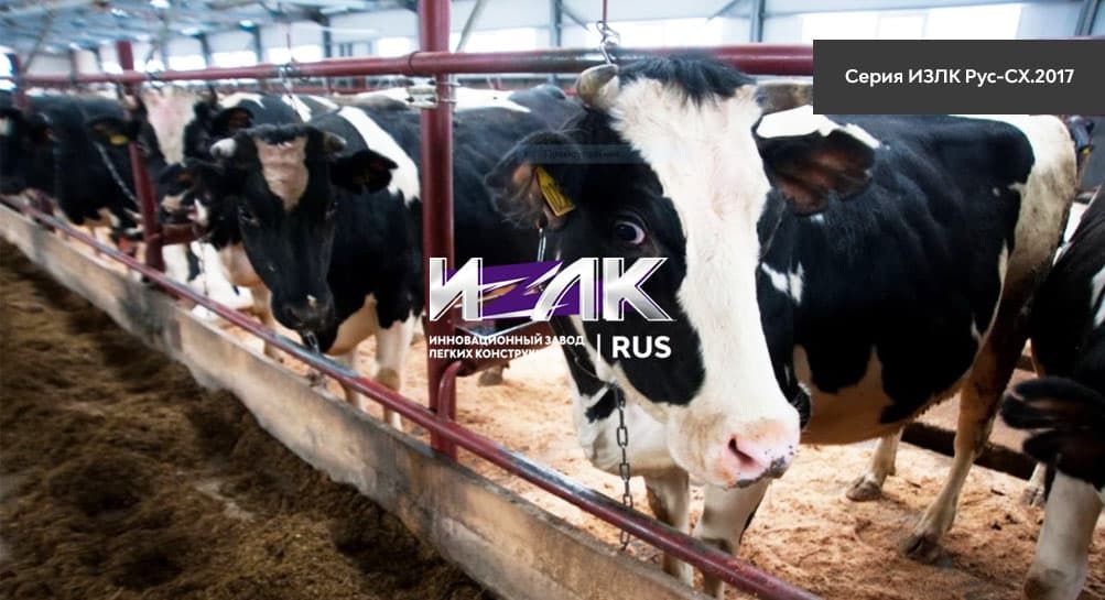 Основные виды коровников, эксплуатируемых животноводами Киришам и региона